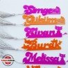 İsimli Kitap Ayracı (Plexi)